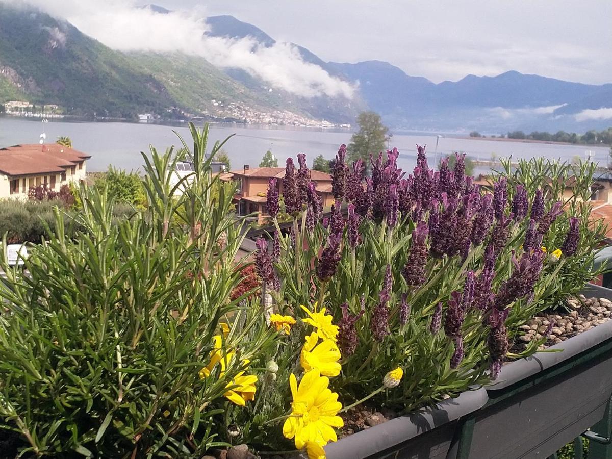 Lake View Terrace 派拉迪克 外观 照片